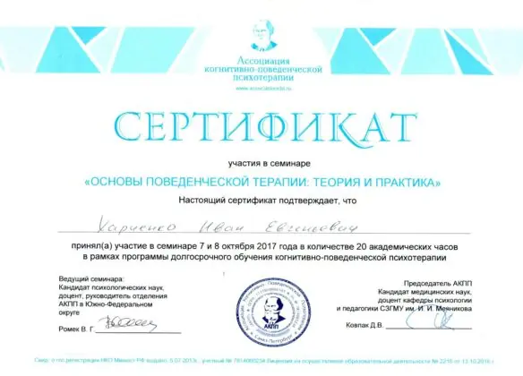 Основы когнитивно-поведенческой терапии, 2017