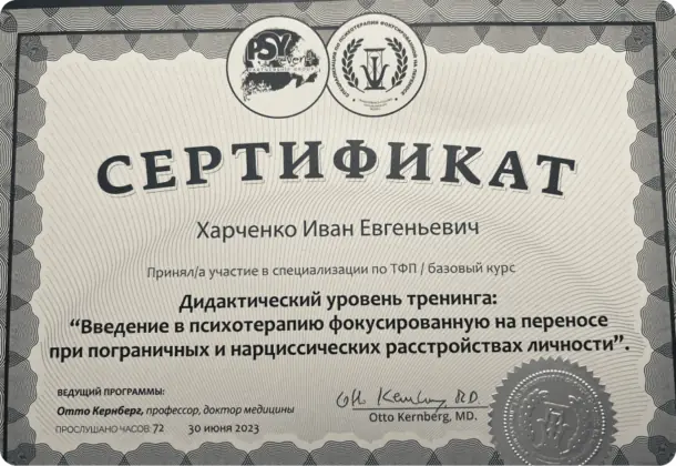 Международный институт расстройств личности. Введение в терапию, сфокусированную на переносе, 2023
